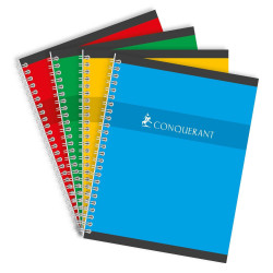 Cahier RI 17x22,100 pages,...