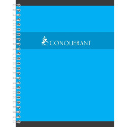 Cahier RI 17x22,100 pages, 5x5