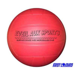 Ballon d'eveil au sport...
