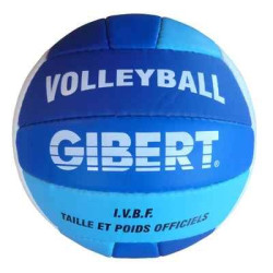 Ballon de beach volley ball...