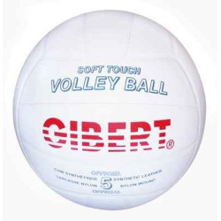 Ballon de volley ball en...