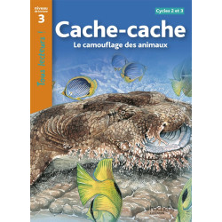 CACHE-CACHE CAMOUFLAGE DES...
