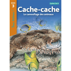 CACHE-CACHE - LE CAMOUFLAGE...