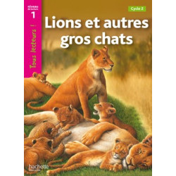 LIONS ET AUTRES GROS CHATS...