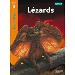LEZARDS NIVEAU 3 - TOUS...