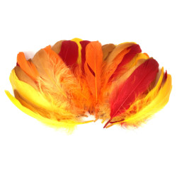 ?Pack plumes d'oies - 15g...