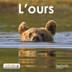 LECTURE CP - COLLECTION...