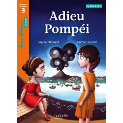 ADIEU POMPEI NIVEAU 3 -...
