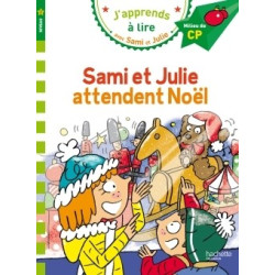 SAMI ET JULIE CP NIVEAU 2...