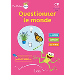 CAHIERS.ISTRA.QUESTIONNER.M...