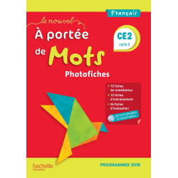 LE NOUVEL A PORTEE DE MOTS...