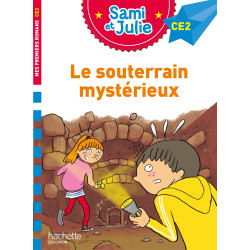 SAMI ET JULIE ROMAN CE2 LE...