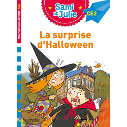 SAMI ET JULIE ROMAN CE2 LA...