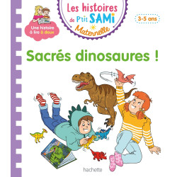 LES HISTOIRES DE P'TIT SAMI...