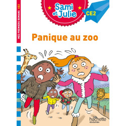 SAMI ET JULIE ROMAN CE2...