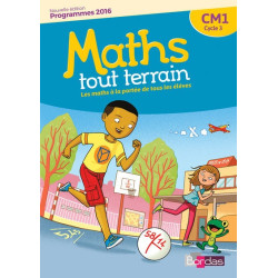 MATHS TOUT TERRAIN CM1 2017...