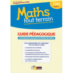 Maths tout terrain CM1 2017...