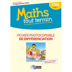 Maths tout terrain CM1 2017...