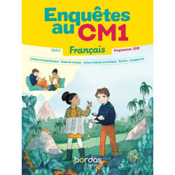 ENQUETES AU CM1 FRANCAIS...