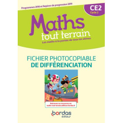 Maths tout terrain CE2 2020...