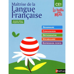 LA BALLE AUX MOTS -...