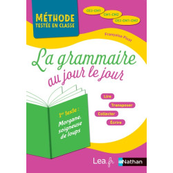 LA GRAMMAIRE AU JOUR LE...