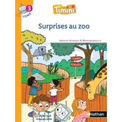 TIMINI - ALBUM 3 CP -...