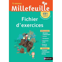 Nouveau Millefeuille -...