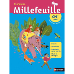 Nouveau Millefeuille -...