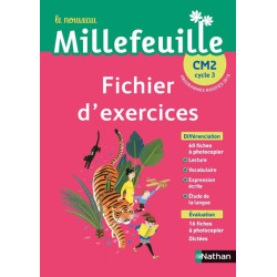 Nouveau Millefeuille -...