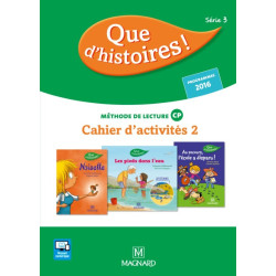 Que d'histoires ! CP Série...