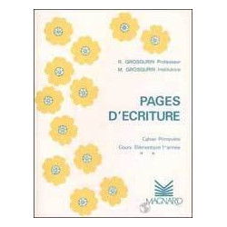 Pages d'écriture au stylo...