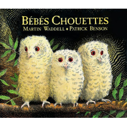 BEBES CHOUETTES