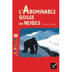 FACETTES BIBLIOTHEQUE CE2 -...