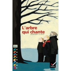 FACETTES BIBLIOTHEQUE CE2 -...