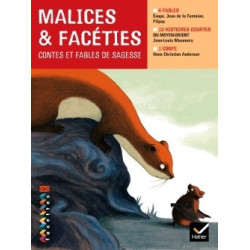 FACETTES BIBLIOTHEQUE CM2 -...