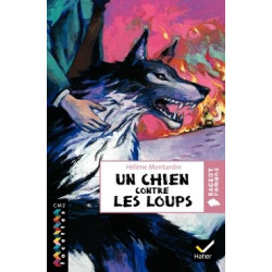 FACETTES BIBLIOTHEQUE CM2 -...