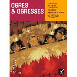 FACETTES BIBLIOTHEQUE CM1-...