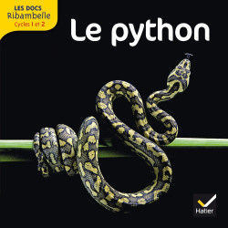Cycle 2 - Le python