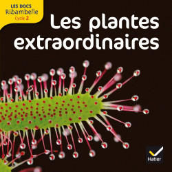Cycle 2 - Les plantes...