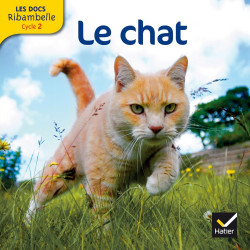 Cycle 2 - Le chat