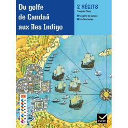 FACETTES BIBILOTHEQUE CM2 -...