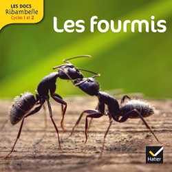 LES DOCS RIBAMBELLE CYCLE 2...