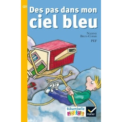 RIBAMBELLE CE1 SERIE JAUNE...