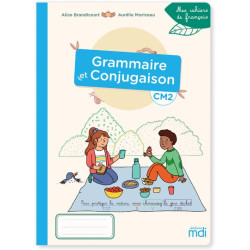 Mes cahiers de français -...