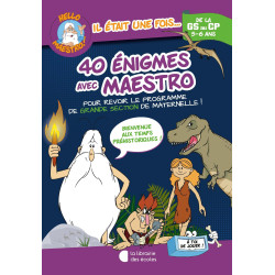 HELLO MAESTRO ! 40 ENIGMES...