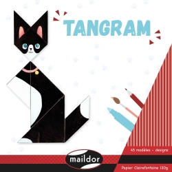 Sachet de 6 tangram géants...