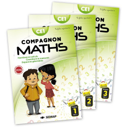 COMPAGNON MATHS CE1 -...