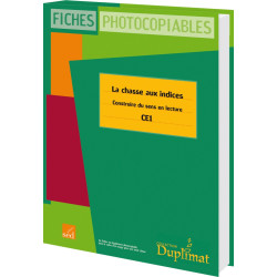 LA CHASSE AUX INDICES - CE1