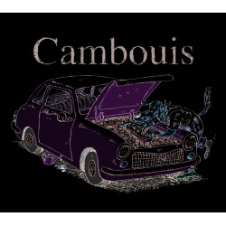 CAMBOUIS